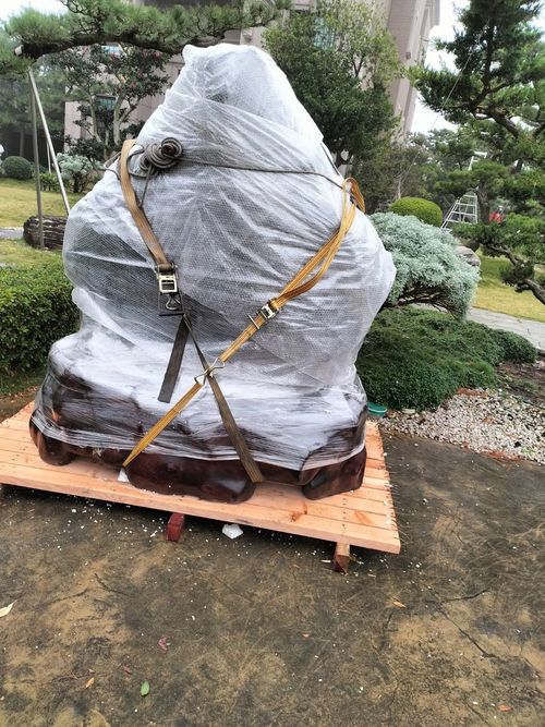 客戶實績 59